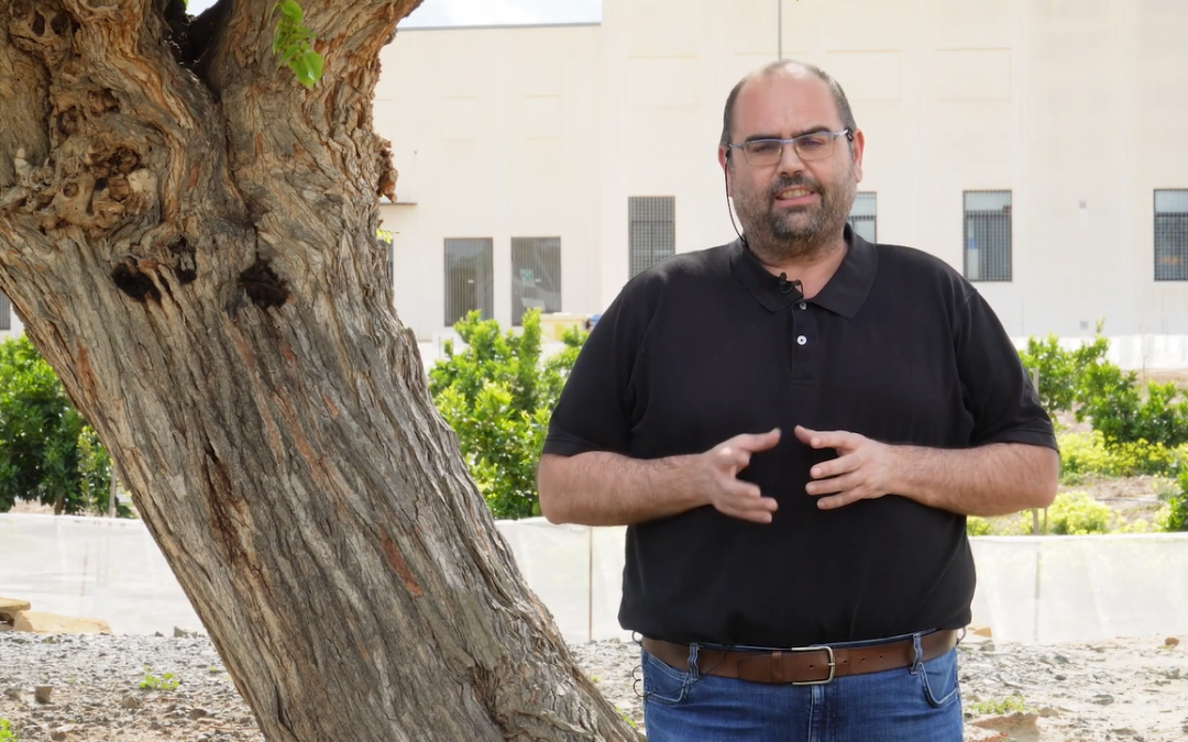 Descubre Recursos Fitogenéticos: Biodiversidad y Agricultura Sostenible